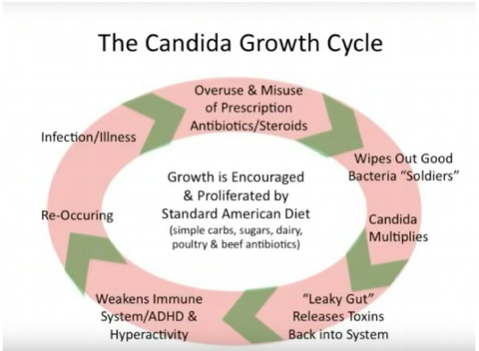 Ciclo.jpg