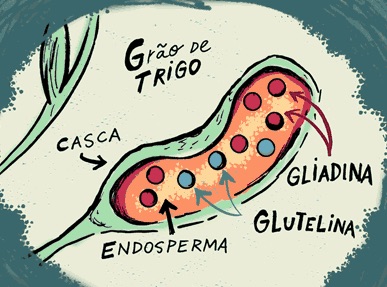 Gluten anti.jpg