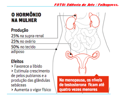 Hormonio na mulher.png