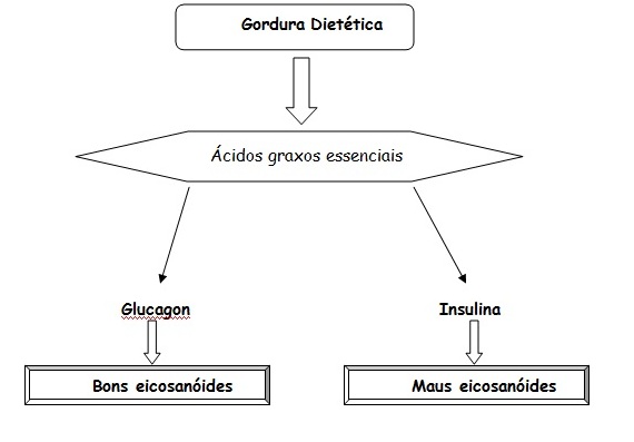 Dieta em Zona Rio de Janeiro 5.jpg