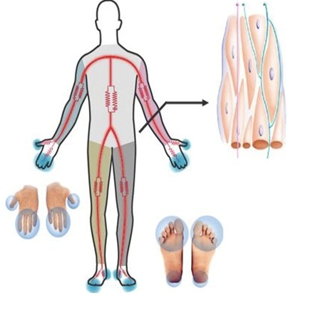 bioimpedanciometria 1.jpg