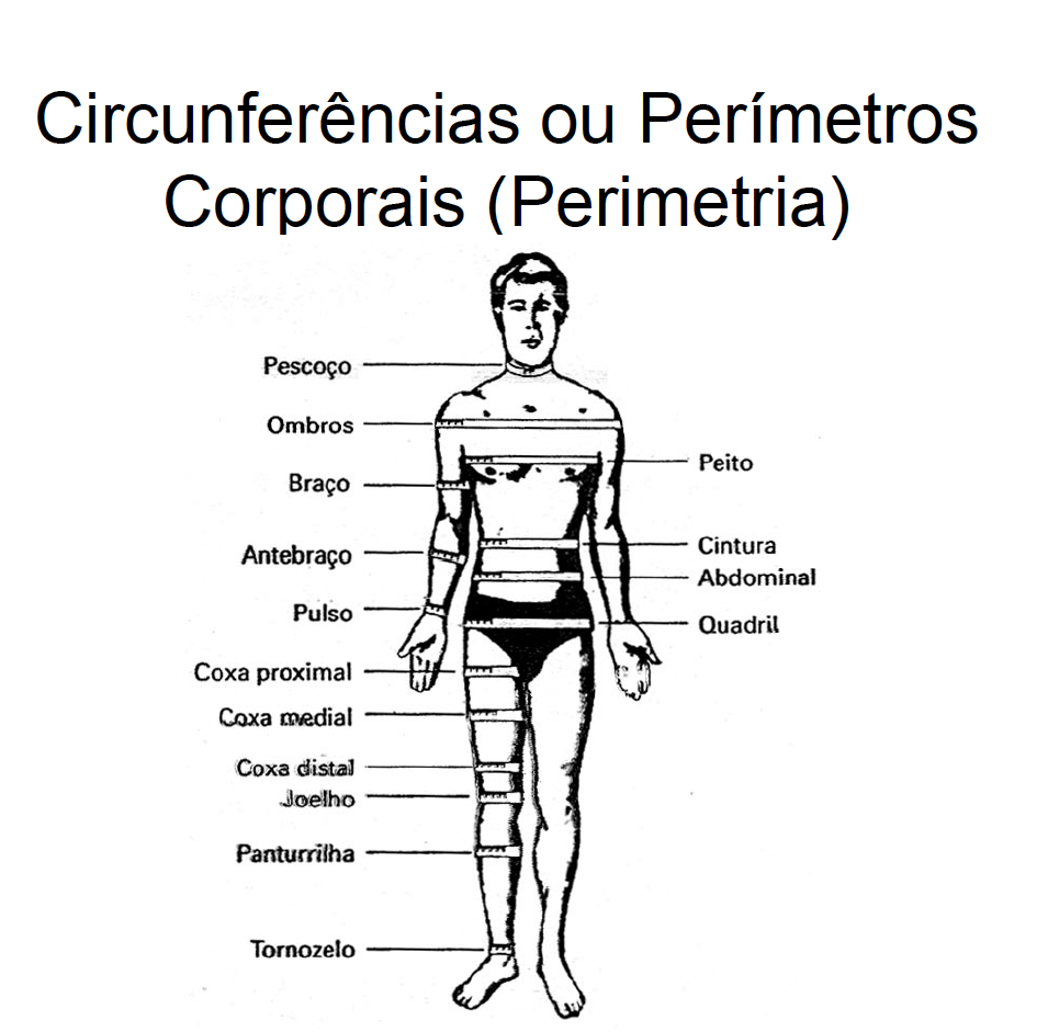 antropometria na nutrologia esportiva 2.png