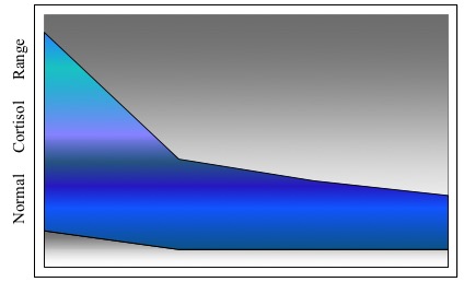 curva do cortisol.jpg