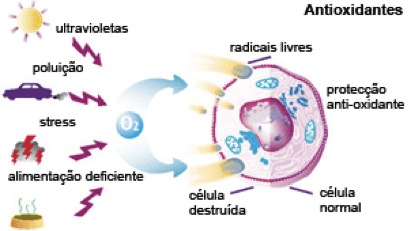 oxidacao.jpg