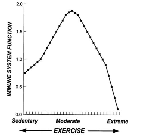 exercicio extremo.jpg