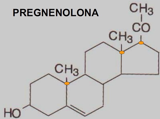 molÃ©cula pregnenolona 2.jpg
