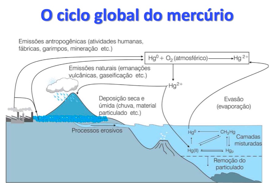 mercurio ciclo.jpg