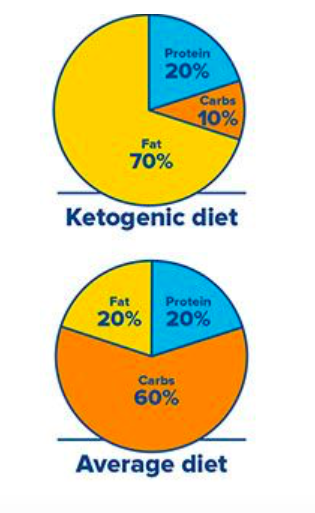 percentual cetogênico.png